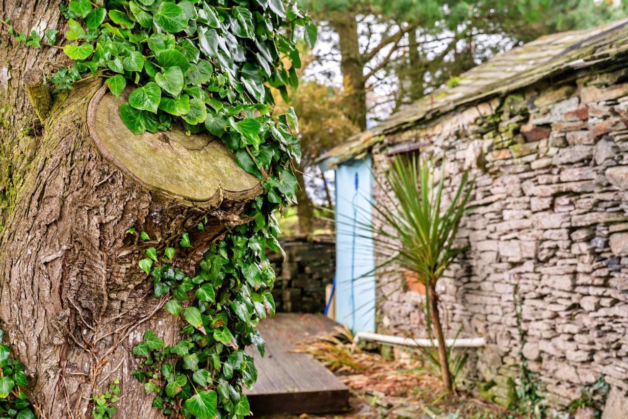 Finest Retreats - Fishermans Cottage تينتاجيل المظهر الخارجي الصورة